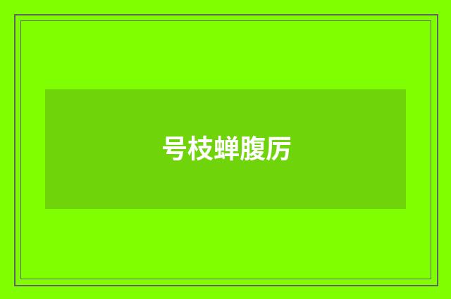 号枝蝉腹厉
