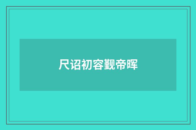 尺诏初容觐帝晖