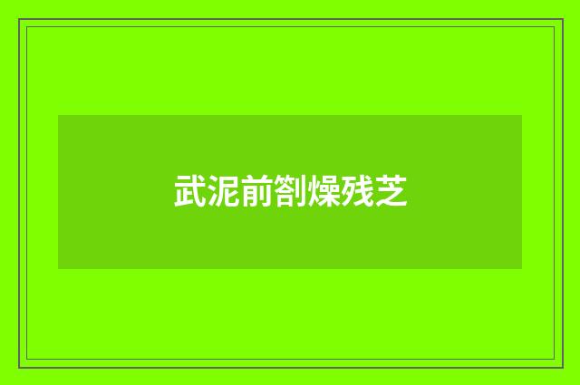 武泥前劄燥残芝