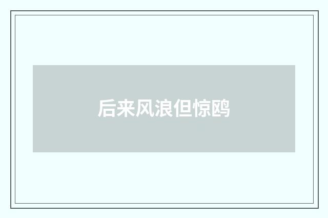 后来风浪但惊鸥