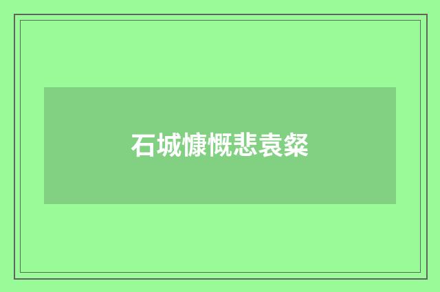 石城慷慨悲袁粲