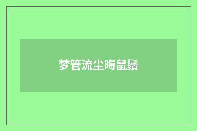 梦管流尘晦鼠鬚