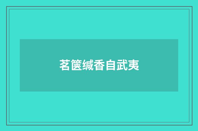 茗箧缄香自武夷