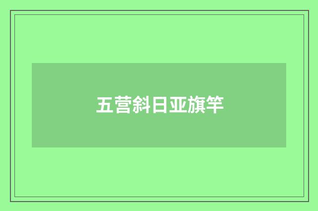 五营斜日亚旗竿