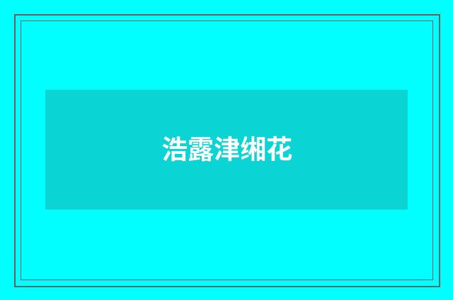 浩露津缃花