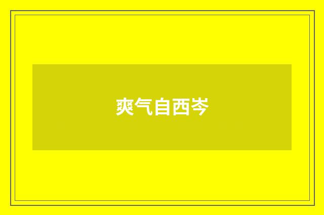 爽气自西岑