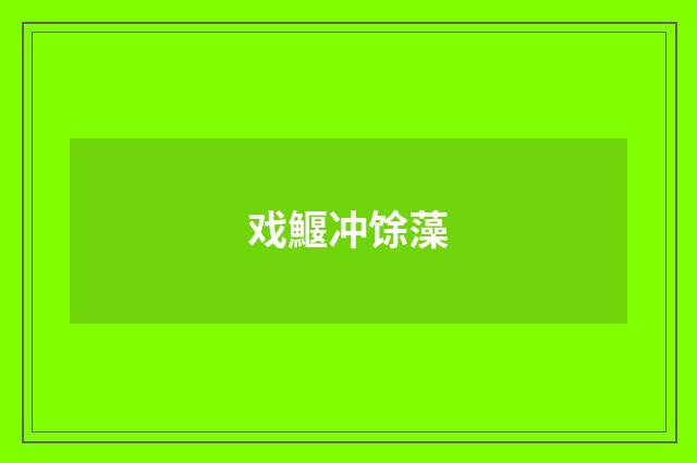 戏鰋冲馀藻