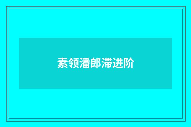 素领潘郎滞进阶