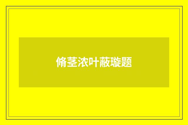 脩茎浓叶蔽璇题