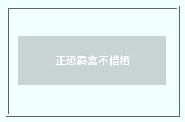 正恐羁禽不借栖