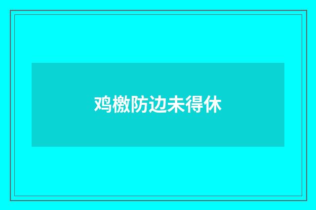 鸡檄防边未得休