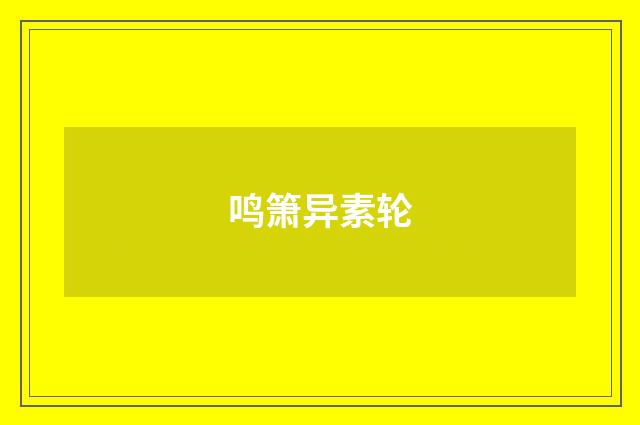 鸣箫异素轮