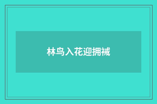 林鸟入花迎拥裓