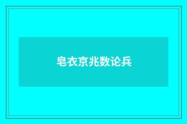 皂衣京兆数论兵