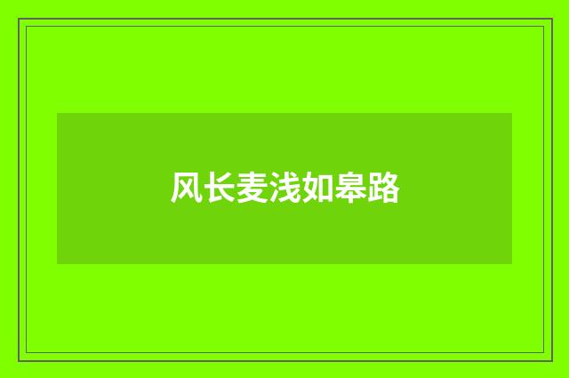 风长麦浅如皋路