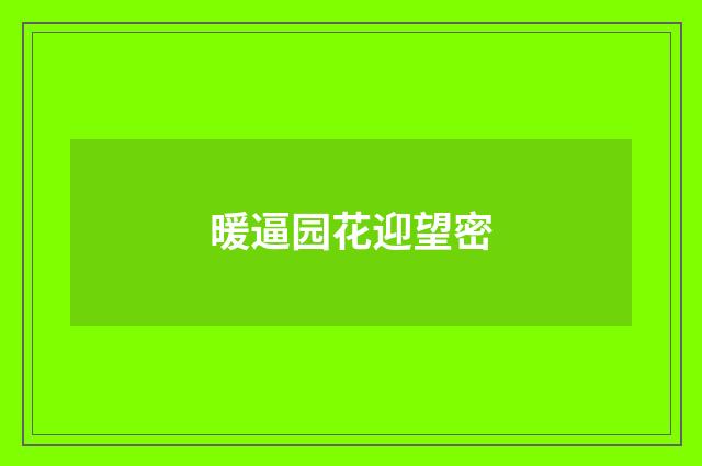 暖逼园花迎望密
