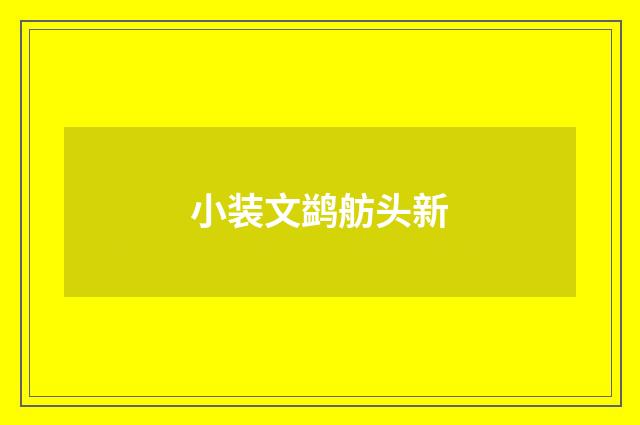 小装文鹢舫头新