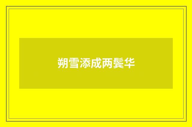 朔雪添成两鬓华