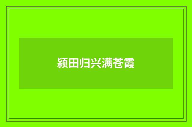 颍田归兴满苍霞