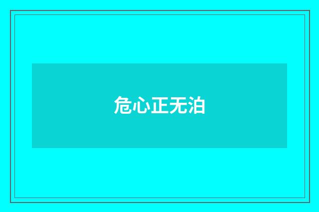 危心正无泊
