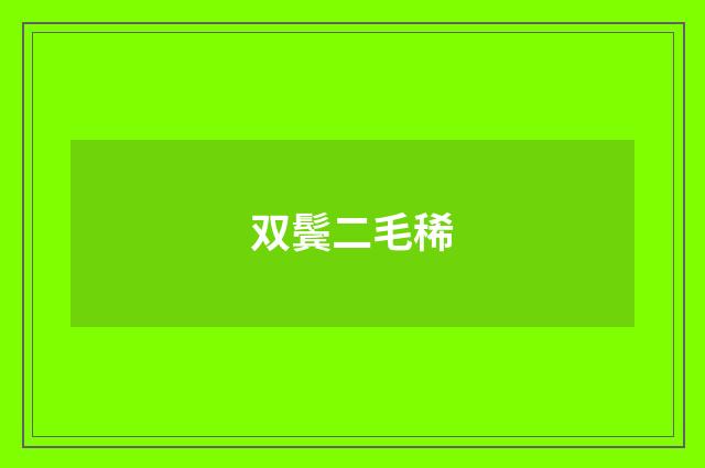 双鬓二毛稀