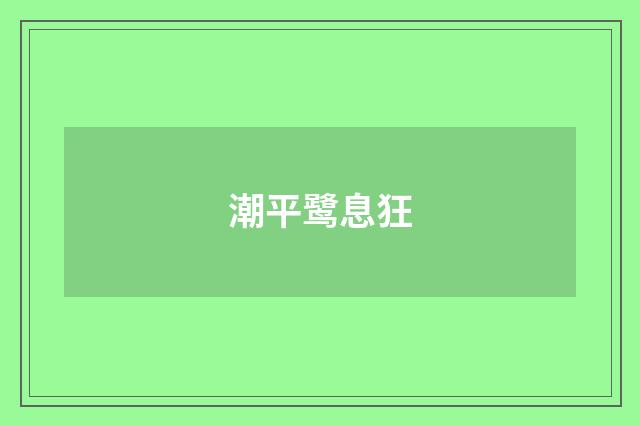 潮平鹭息狂