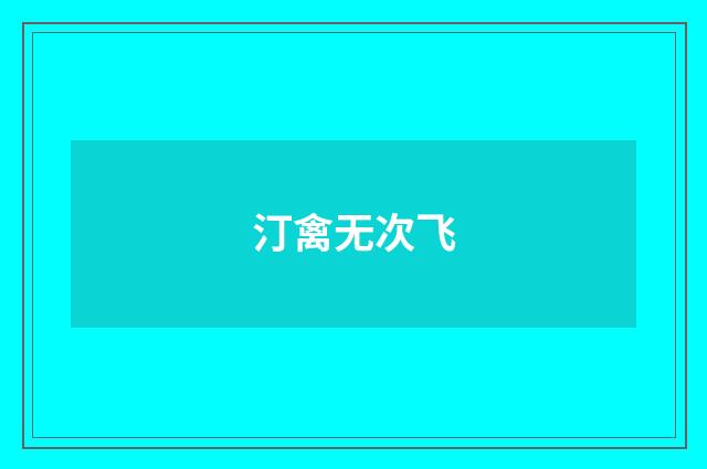 汀禽无次飞