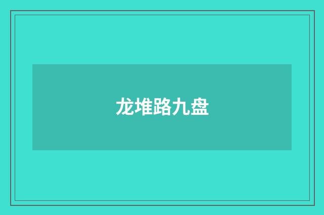 龙堆路九盘