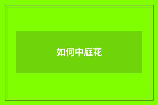 如何中庭花