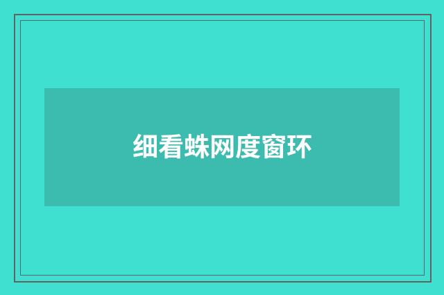 细看蛛网度窗环