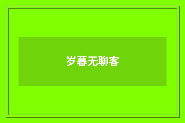 岁暮无聊客