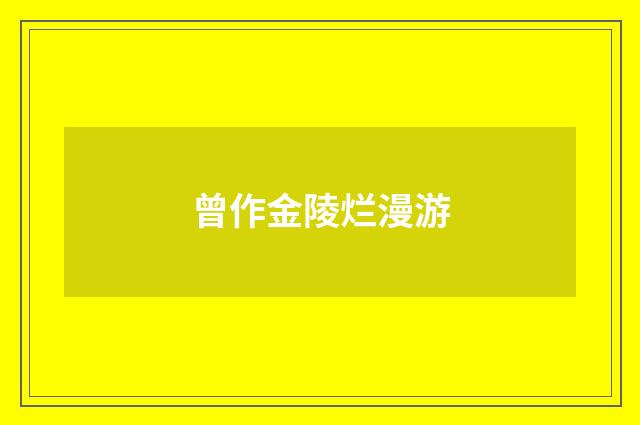 曾作金陵烂漫游