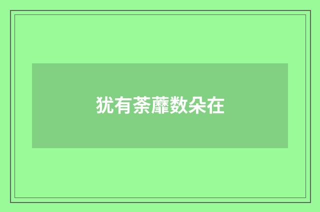 犹有荼蘼数朵在