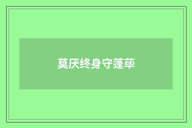 莫厌终身守蓬荜