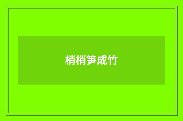 梢梢笋成竹