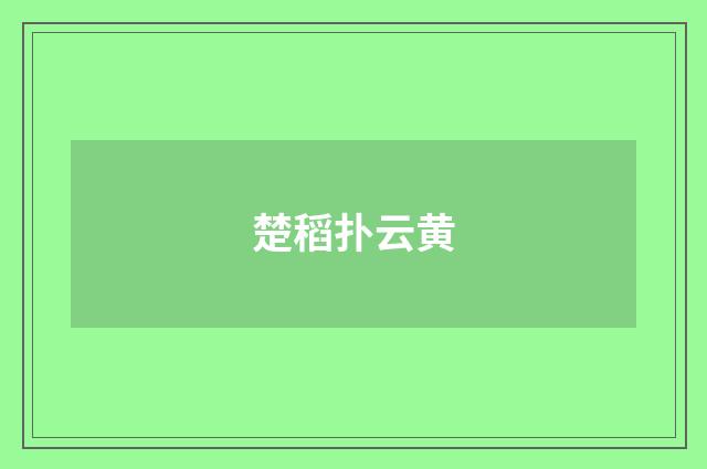 楚稻扑云黄