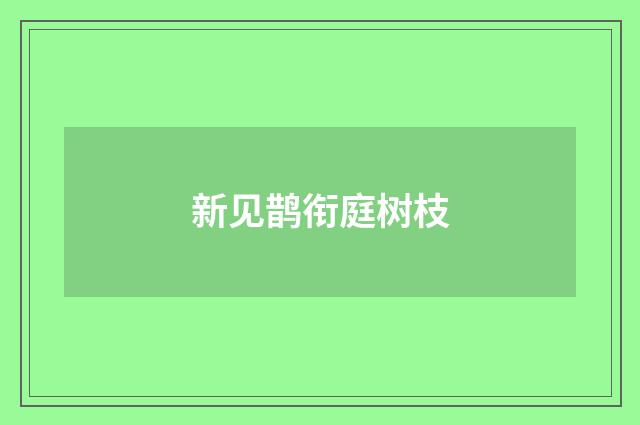 新见鹊衔庭树枝