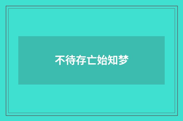 不待存亡始知梦