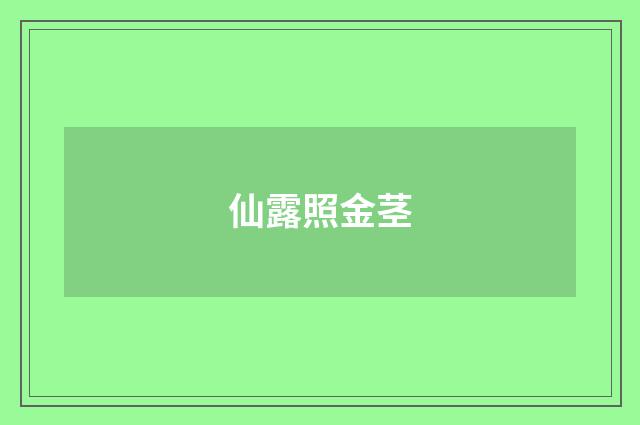 仙露照金茎