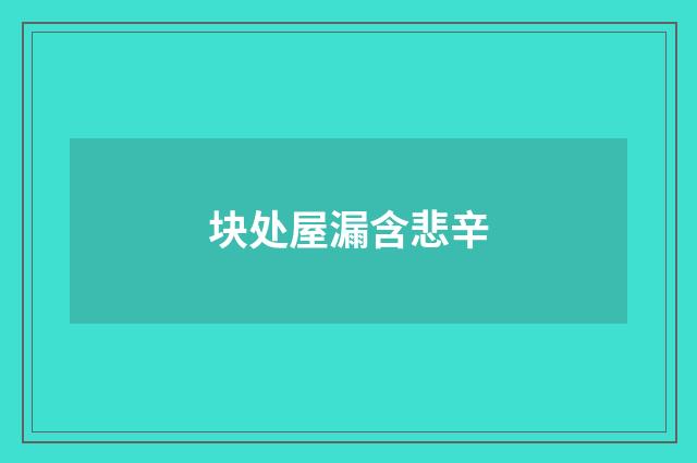 块处屋漏含悲辛