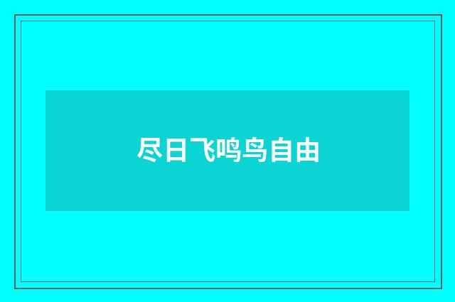 尽日飞鸣鸟自由