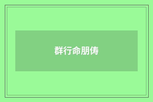 群行命朋俦