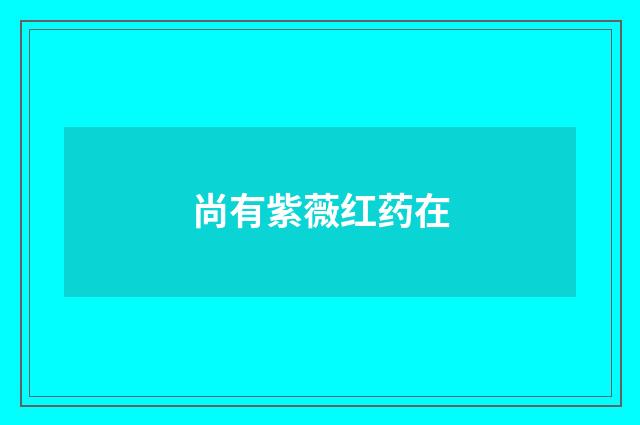 尚有紫薇红药在