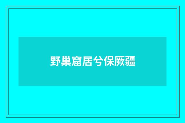 野巢窟居兮保厥疆