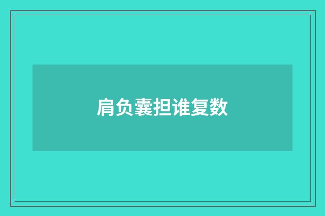 肩负囊担谁复数
