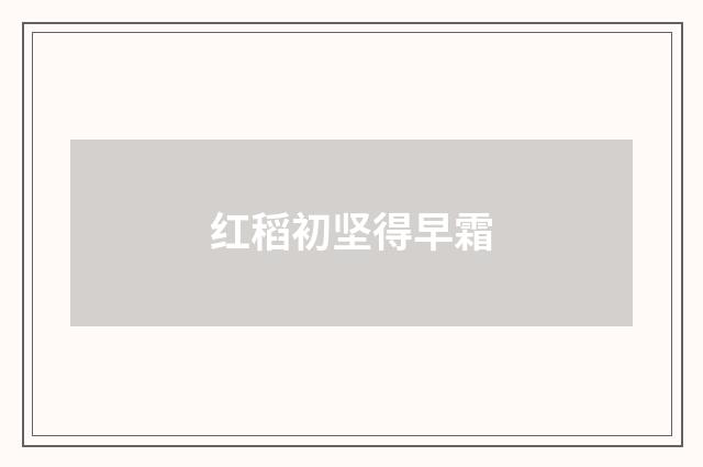 红稻初坚得早霜