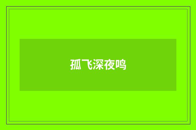 孤飞深夜鸣