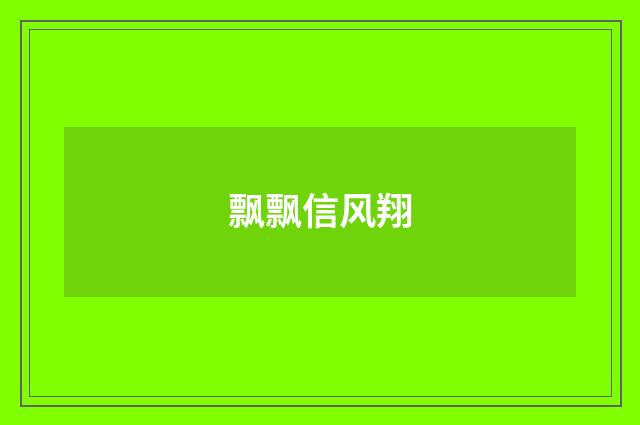 飘飘信风翔