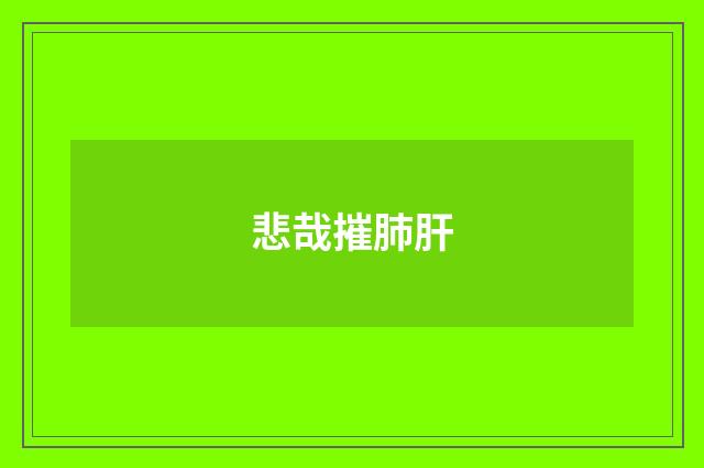 悲哉摧肺肝