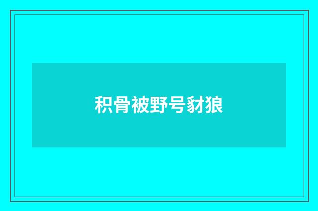 积骨被野号豺狼